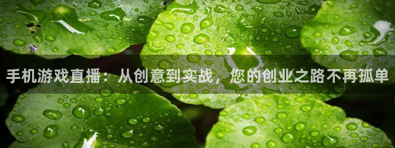 多彩娱乐测速：手机游戏直播：从创意到实战，您的创业之路不再孤