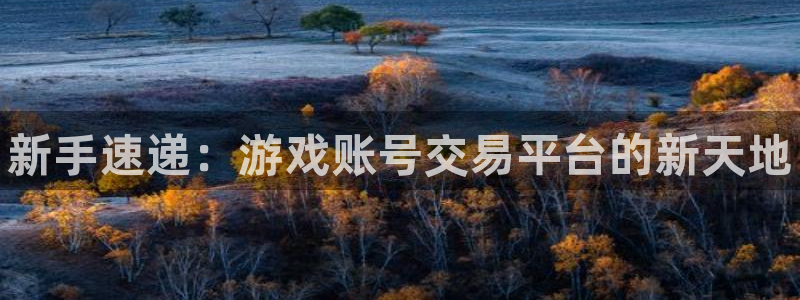 多彩娱乐官方平台：新手速递：游戏账号交易平台的新天地