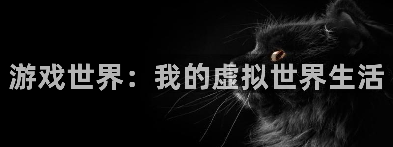 多彩娱乐2登录：游戏世界：我的虚拟世界生活