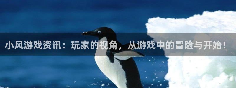 多彩娱乐平台登录入口：小风游戏资讯：玩家的视角，从游戏中的冒