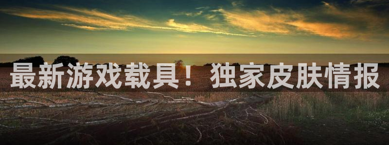 多彩娱乐注册官方登录app:最新游戏载具!独家皮肤情报