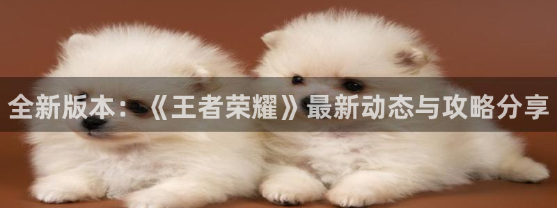 多彩娱乐怎么注册：全新版本：《王者荣耀》最新动态与攻略分享