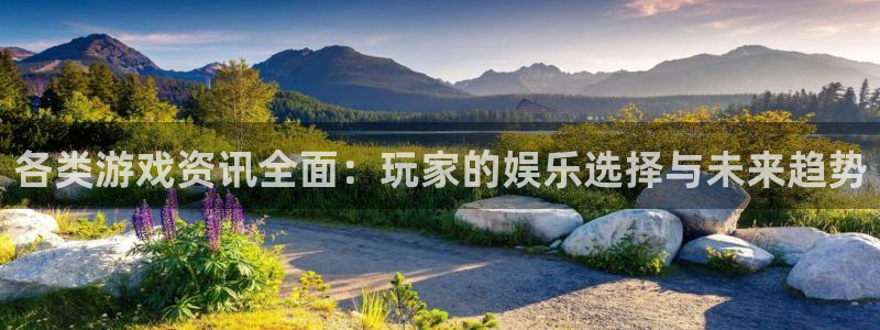 多彩娱乐什么意思：各类游戏资讯全面：玩家的娱乐选择与未来趋势