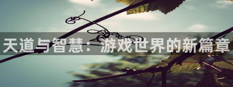 多彩娱乐测速登陆：天道与智慧：游戏世界的新篇章