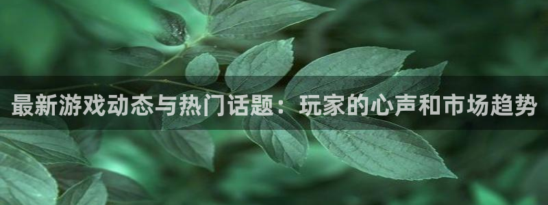 多彩娱乐平台官网登录