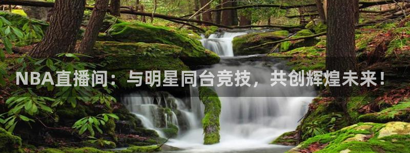 飞速体育nba无插件直播：NBA直播间：与明星同台竞技，共创辉煌未来！