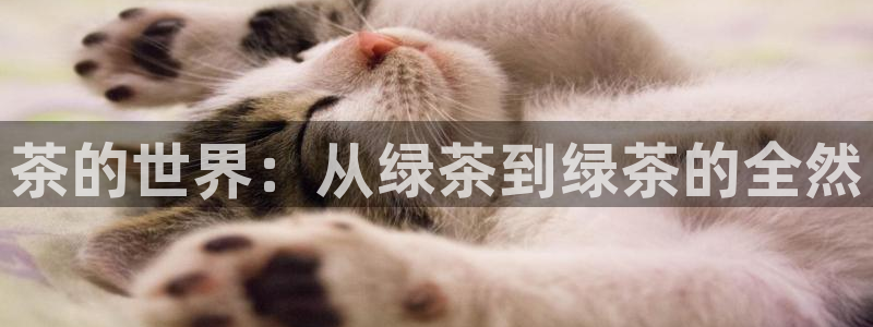 飞速直播体育篮球：茶的世界：从绿茶到绿茶的全然
