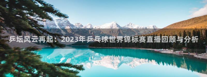 极速体育飞速直播：乒坛风云再起：2023年乒乓球世界锦标赛直播回顾与分析